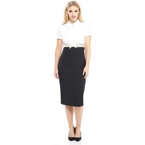 Maggy London Women's Petite Solid Crepe Color Block Short Sleeve Sheath